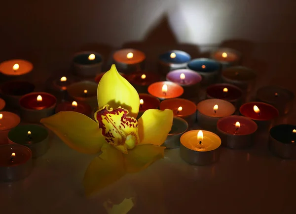 Χρωματιστά Κεριά Καύσης Σκούρο Και Κίτρινο Λουλούδι Ορχιδέα Εικόνα Αρχείου