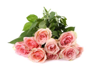 Beyaz arka planda pembe güller yığını