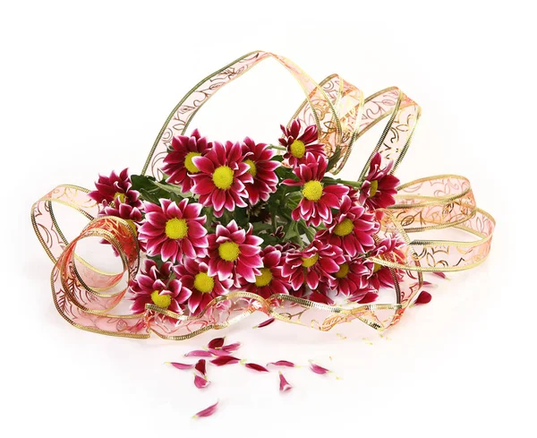 Bouquet Crisantemi Rosso Scuro Sfondo Bianco Nastro Decorativo — Foto Stock