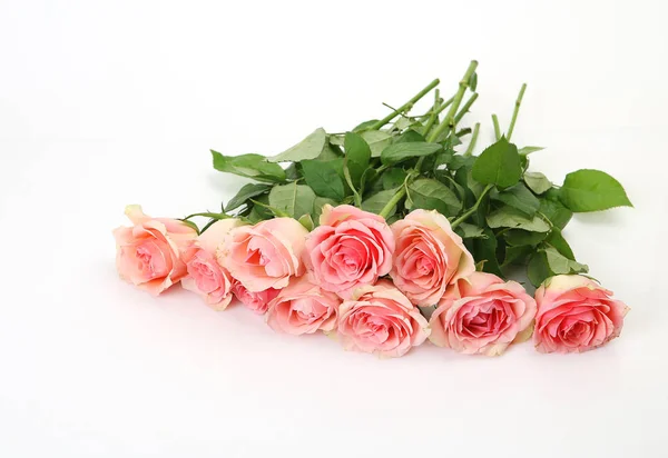 Pile Pink Roses White Background — Stock Photo, Image