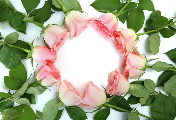 Цветочные Рамки Розовых Роз Белом Фоне — стоковое фото