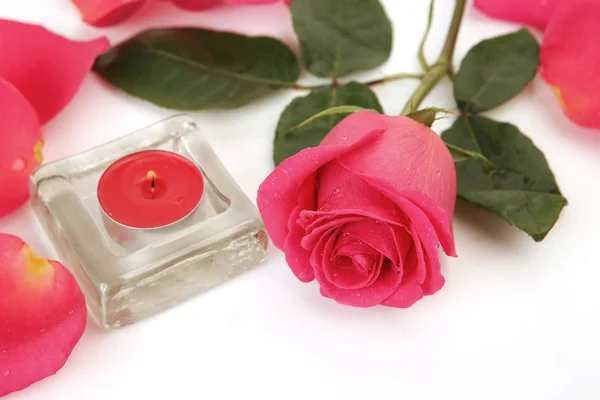 Różowy róż i spalania świecy — Zdjęcie stockowe
