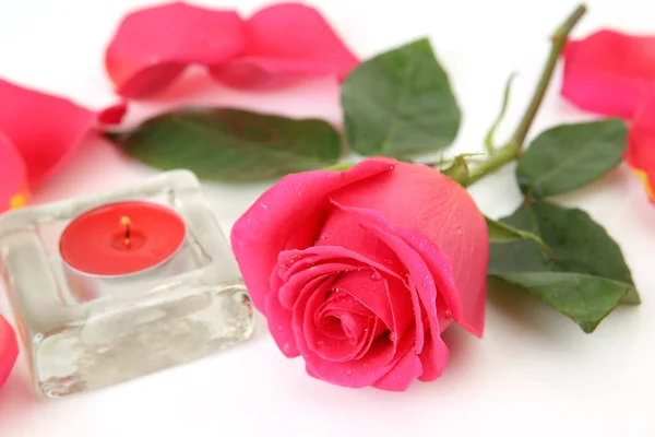 Pink Rose White Background Candle — Stock Photo, Image