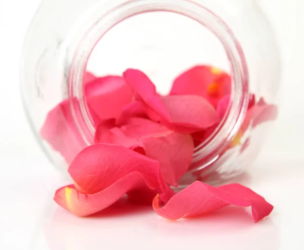 Rosa Rosenblätter Glasschale Auf Weißem Hintergrund — Stockfoto