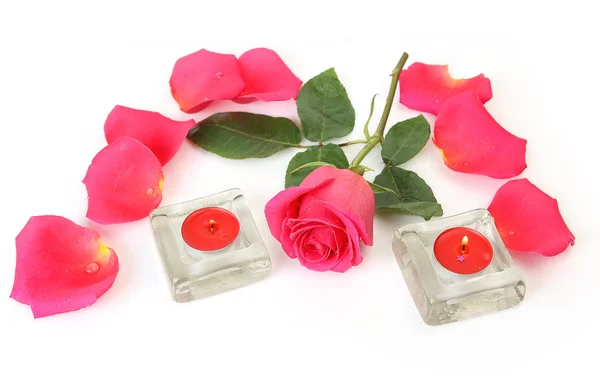 粉红色玫瑰在白色背景与蜡烛 图库照片