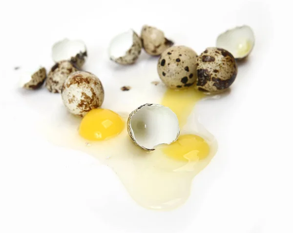 Oeufs de caille cassés sur fond blanc — Photo