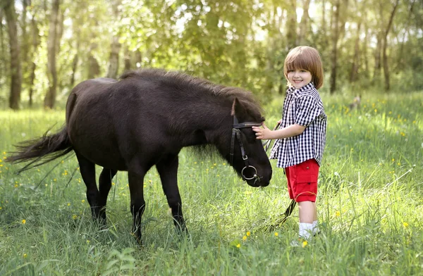 Jongen en pony wandelen in het bos — Stockfoto