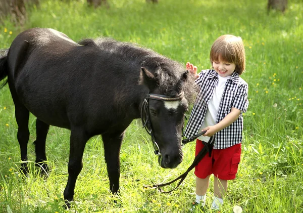 Jongen Pony Wandelen Het Bos — Stockfoto