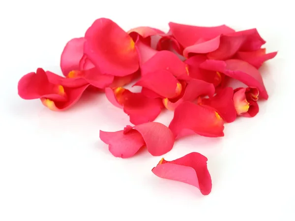 白色背景上柔和的粉红色玫瑰花瓣 — 图库照片