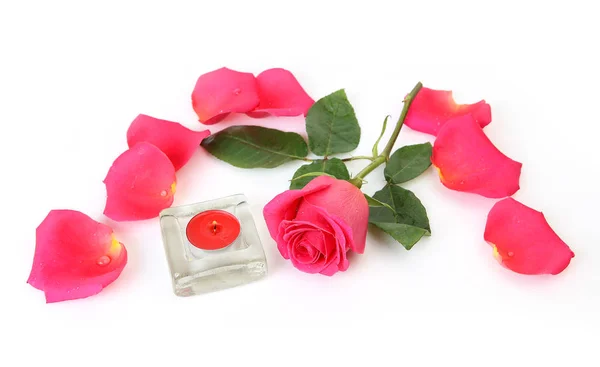 Pink Rose Petals White Candle — Stock Photo, Image
