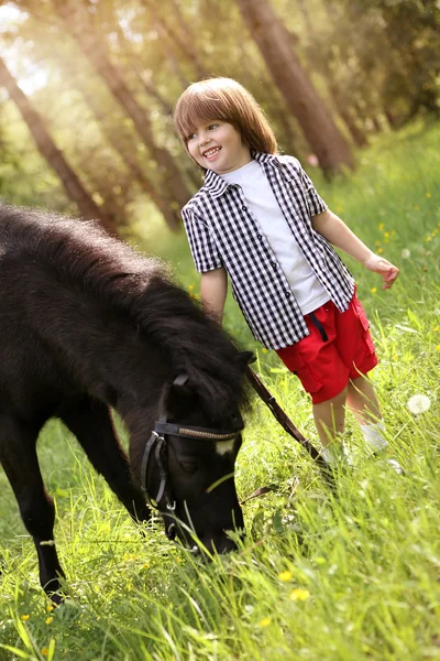 Kleine Jongen Wandelen Met Pony Groen Gras — Stockfoto