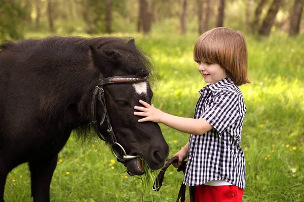 Little Boy Walking Pony Green Grass — Stock Photo, Image