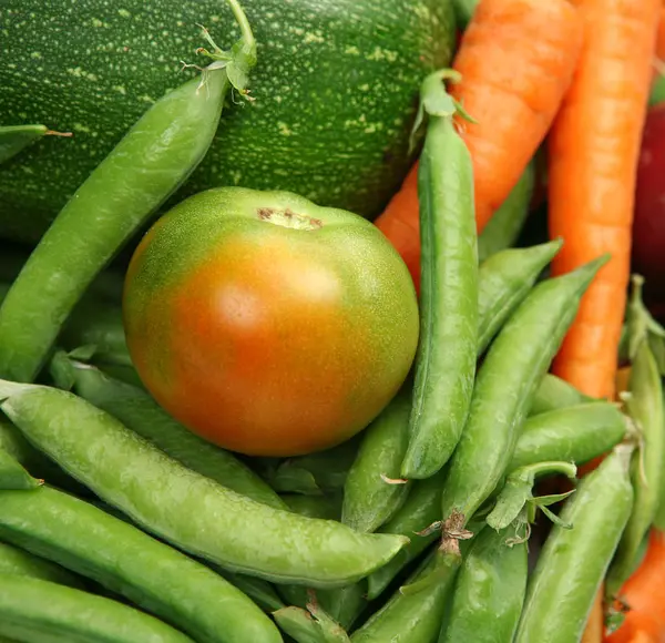 Verduras frescas para la dieta — Foto de Stock