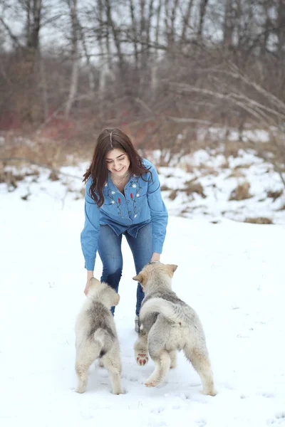 Femme Jouant Avec Deux Chiots Dans Neige — Photo