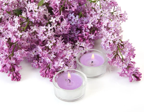 Ramo florescente de lilás em um fundo branco e velas — Fotografia de Stock