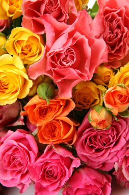 güzel kokulu gül buketi