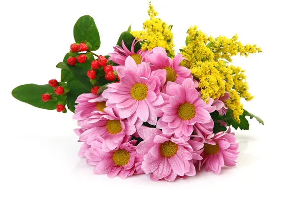 Pink chrysanthemums on a white background — Stock Photo, Image
