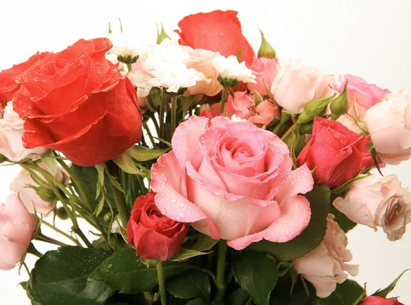 Ramo de hermosas rosas sobre un fondo blanco — Foto de Stock