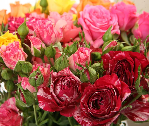 Ramo de hermosas rosas fragantes — Foto de Stock