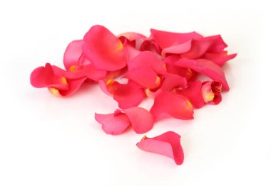 Beyaz arkaplanda pembe gül yaprakları