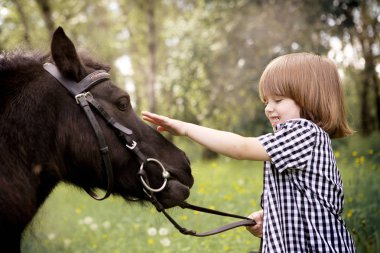 ormanda erkek ve siyah midilli