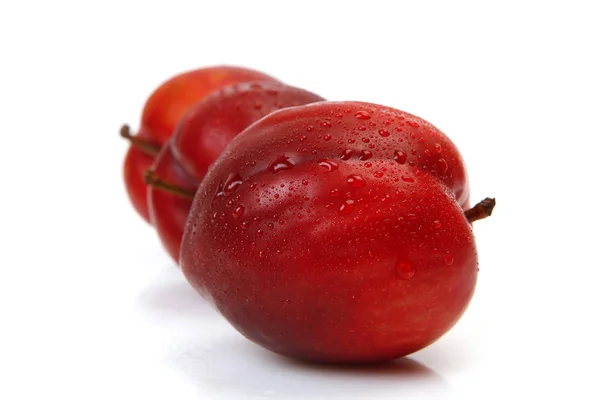 Ripe red plum on white background — Stock Photo, Image