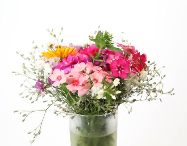 Beyaz bir arka plan üzerinde kır çiçekleri buketi