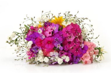 Beyaz bir arka plan üzerinde kır çiçekleri buketi