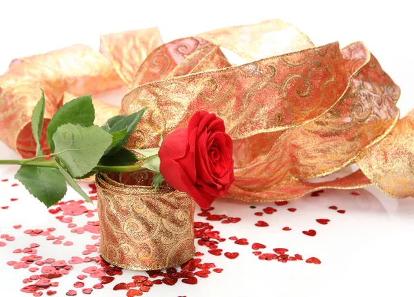 Scarlet rose and decorative ribbon — Stock Photo, Image