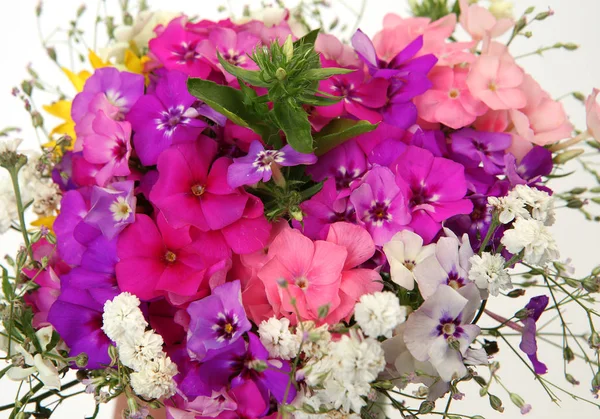 Boeket van wilde bloemen op een witte achtergrond — Stockfoto