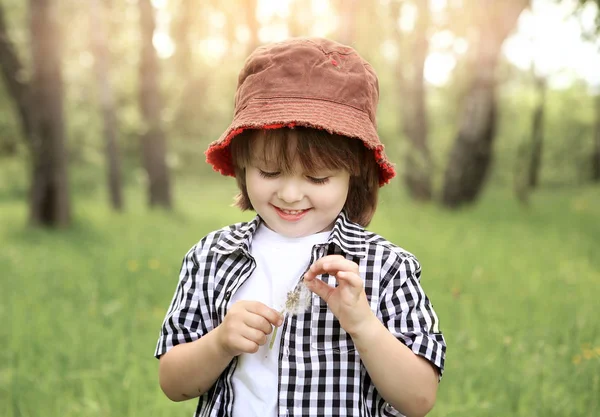 Junge geht im Wald spazieren und sammelt Löwenzahn — Stockfoto