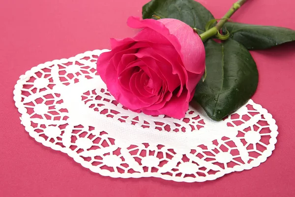 Pink rose on a lace napkin — Stock Photo, Image