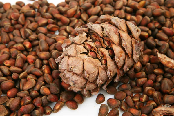 Pine Nuts Natural Pine Cone — Stock Photo, Image