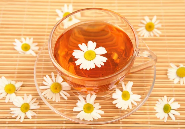 Tea Chamomile Flowers — Stock Photo, Image