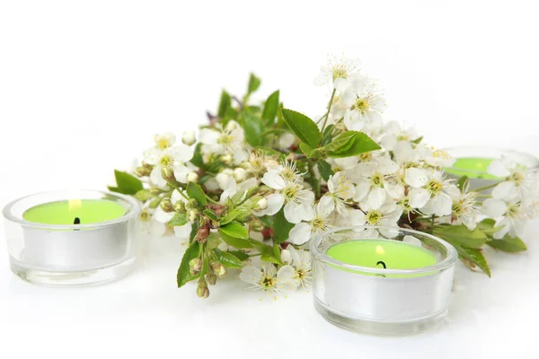 Branch Blossoming Apple Tree Green Burning Wax Candle — Stock Photo, Image