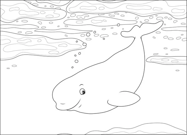 Desenho de Baleia a expulsar água para Colorir - Colorir.com