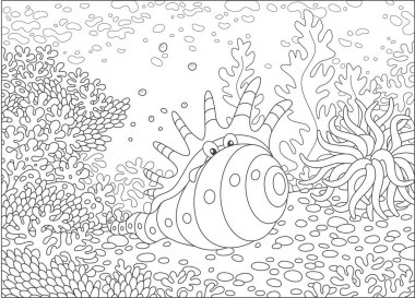 Egzotik kabuk üzerinde bir tropikal deniz, siyah ve beyaz vektör çizim karikatür tarzı bir boyama kitabı için bir resif mercan arasında