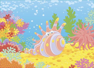 Renkli mercan kayalık tropikal bir denizde, vektör çizim karikatür tarzı üzerinde arasında egzotik kabuk