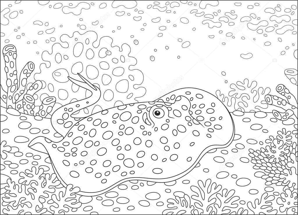 Blue-spotted stingray among corals on the bottom of a tropical sea, black and white vector illustration in a cartoon style for a coloring book