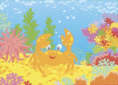 Komik kırmızı yengeç tropikal bir denizde bir resif üzerinde renkli mercan arasında bir karikatür tarzı resimde vektör