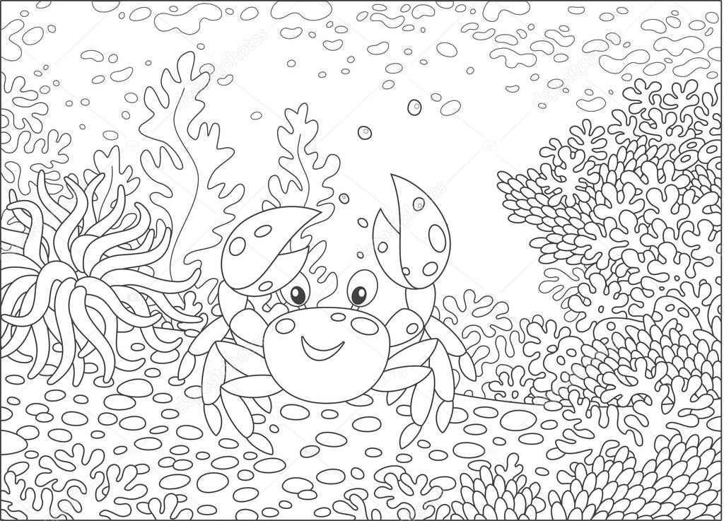 Funny crab among corals on a reef in a tropical sea, black and white vector illustration in a cartoon style for a coloring book