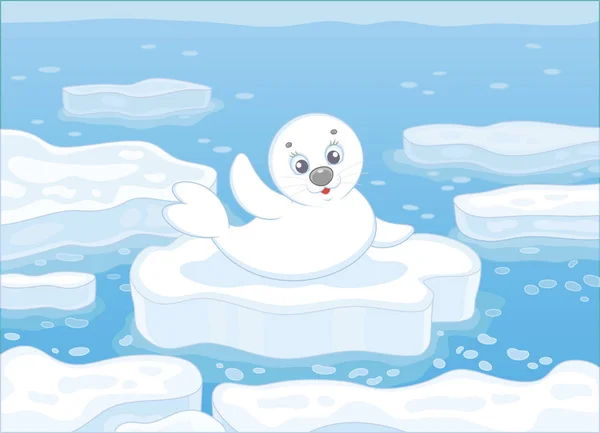 Whitecoat 海豹挥舞着他的鳍在一个漂流的浮冰在极地海的问候 矢量插画的卡通风格 — 图库矢量图片
