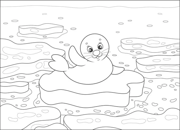 Whitecoat 海豹挥舞着他的鳍在一个漂流的浮冰在极地海 黑色和白色矢量插图漫画风格的着色书 — 图库矢量图片