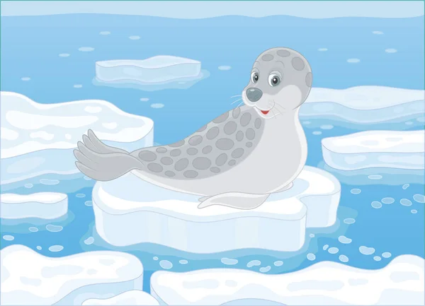北极海漂流浮冰上的斑点灰色海豹 卡通风格的矢量插画 — 图库矢量图片
