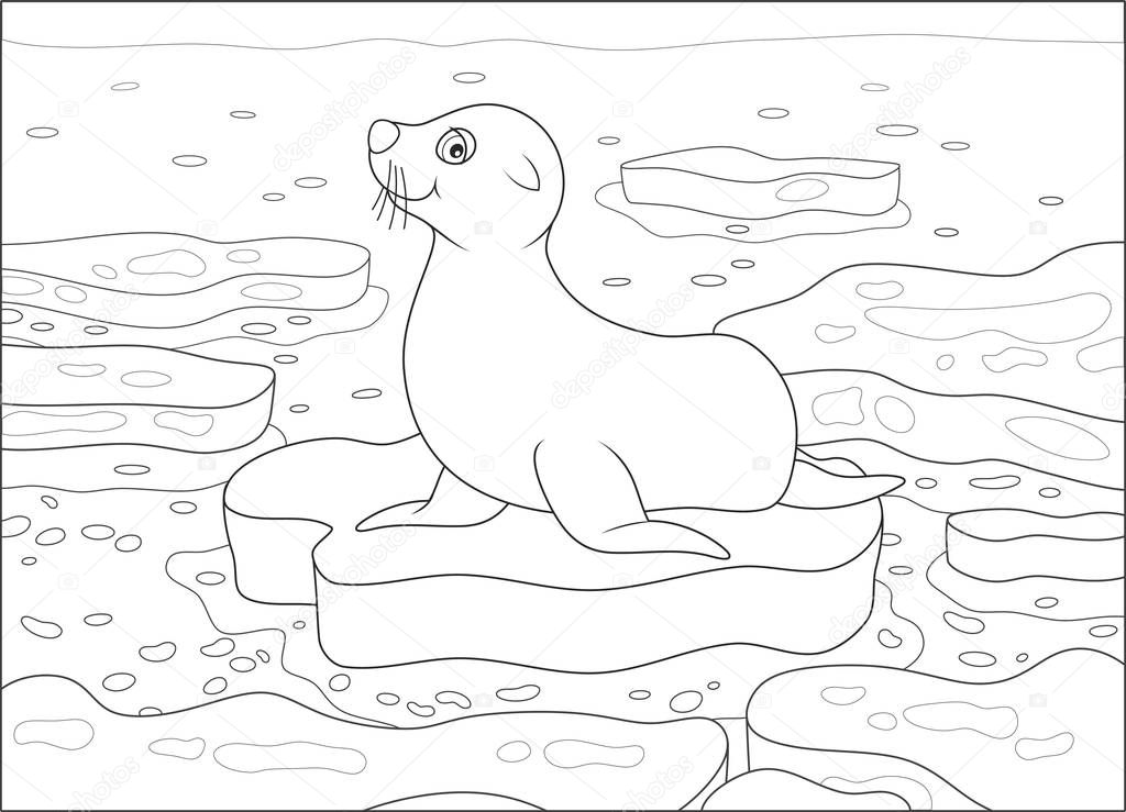 Seal on a drifting ice floe in a polar sea, black and white vector illustration in a cartoon style for a coloring book