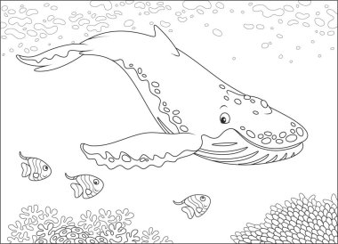 Hump-backed whale swimming near a reef, black and white vector illustration for a coloring book clipart