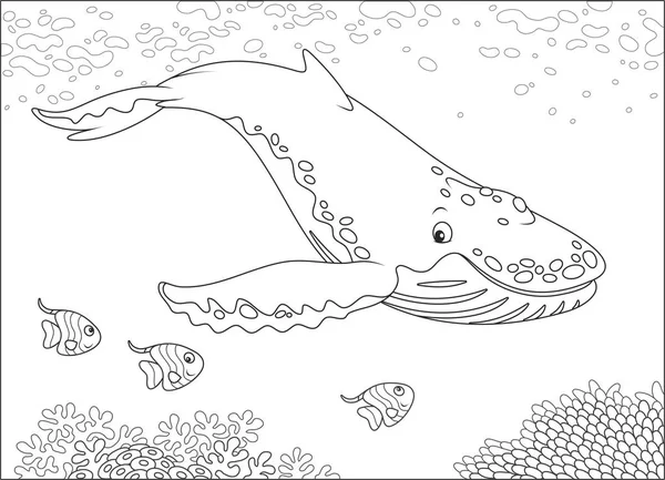 驼峰支持鲸鱼游泳附近的珊瑚礁 黑白矢量插图着色书 — 图库矢量图片