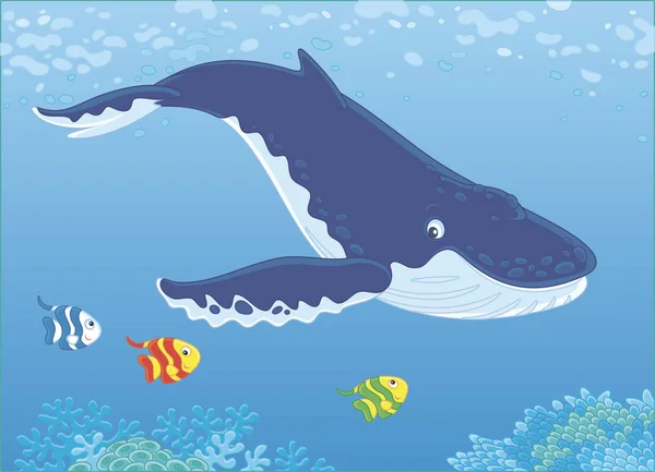 Baleine Bosse Nageant Eau Bleue Près Récif Illustration Vectorielle — Image vectorielle