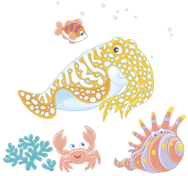 斑点墨鱼和一条小条纹鱼在珊瑚上游动 一只滑稽的粉红色蟹和一个热带贝壳 在白色背景下以卡通风格的矢量插图 — 图库矢量图片