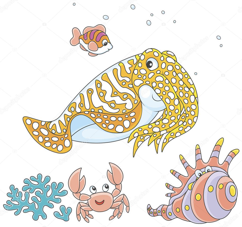 Spotted cuttlefish and a small striped fish swimming over a coral, a funny pink crab and a tropical shell, vector illustrations in a cartoon style, on a white background